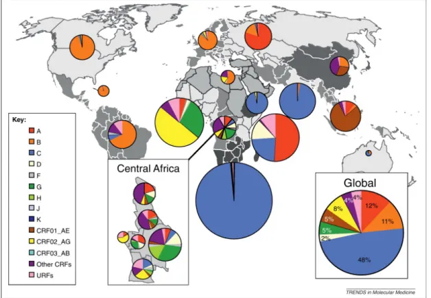 Figure 4: World map showing global distribution of HIV groups and subtypes.  J. Hemelaar, Trends in  Molecular Medicine, 2012 
