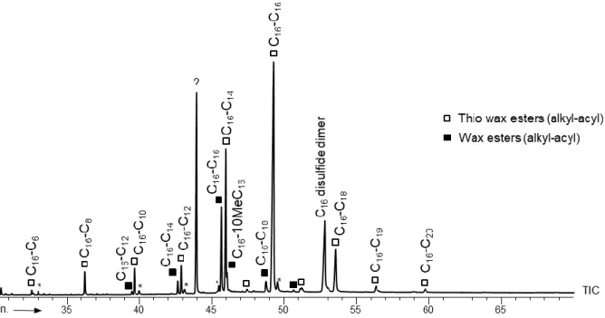 Figure 2 GC-MS trace of the wax esters (WE) and thio wax esters (TWE) formed during growth of SRB  on C 16  alkan-1-thiol
