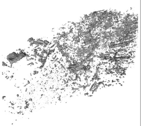 Figure 11: Example of surface generated on a dataset of size 1626x7028x2000. This surface contains 18 111 disconnected components.