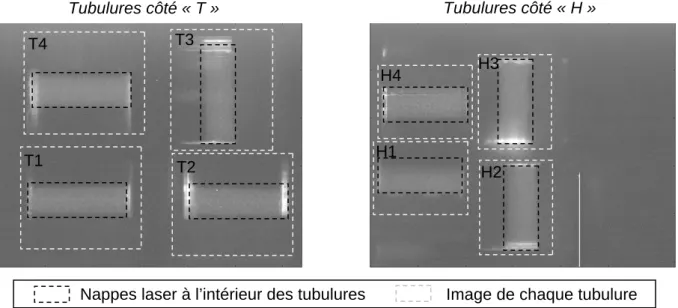 Figure 3 : Exemple d’images obtenues sur chaque caméra. Les zones correspondant aux  tubulures T ou H, ainsi que les nappes lasers y sont visibles