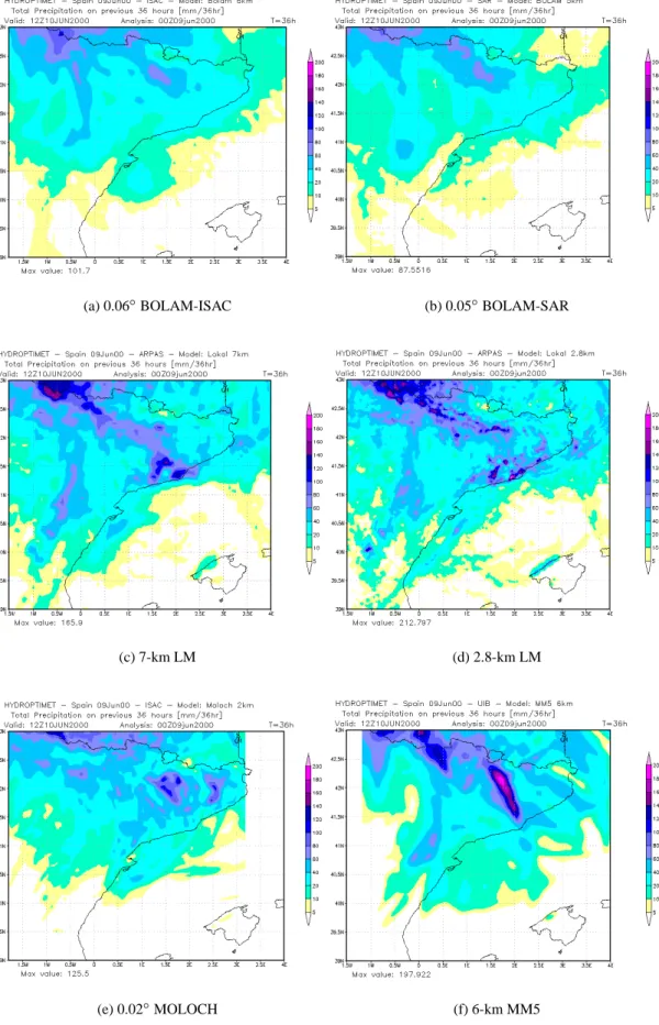 Fig. 5. Precipitation forecast by the selected LAMs over their own native grids. Rainfall was accumulated from 00:00 UTC, 9 June to 12:00 UTC, 10 June 2000.