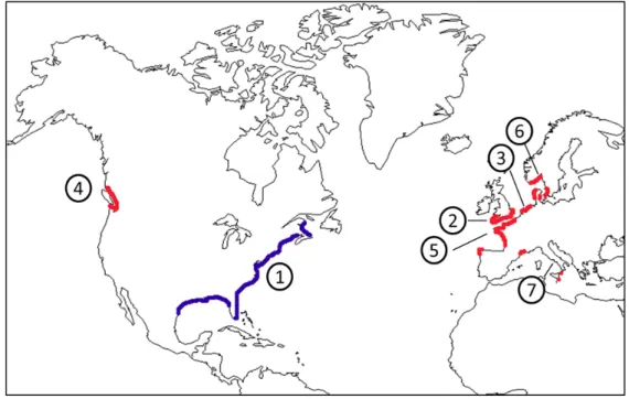 Fig. 17 Aires de distribution naturelle (en bleu) et introduite (en rouge) de Crepidula fornicata et  étapes de l’invasion, d’après Blanchard (1997) : 1 aire d’origine, 2 : (1880) Grande Bretagne, 3 : (1910  -1950) : Belgique, Allemagne et Pays-Bas, 4 : (1