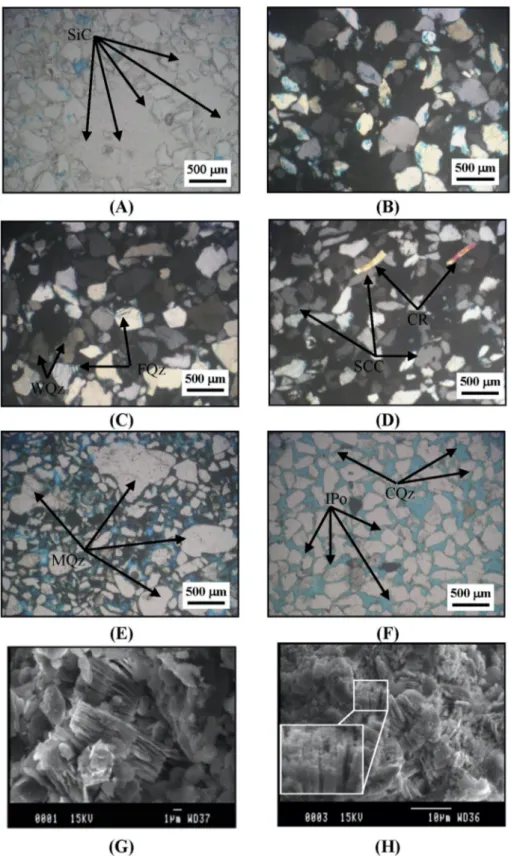 Fig. 3. Photomicrographs showing A) Silica filling (SiC) vuggy and intergranular porosity, Abu Simbel Fm, PPL; B) Fine to very fine quartz grains, partially dissolved giving rise to intragranular porosity,  Kesiena Fm, CN; C) highly fractured (FQz) and wav
