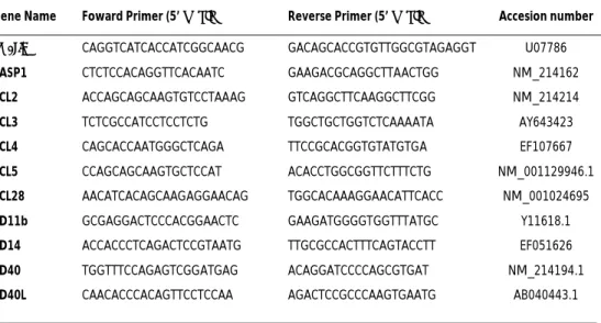 Table 1 - List of genes and primer sequences for quantitative PCR analysis. 