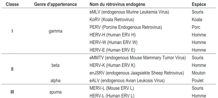 Tableau 4 : Classification des rétrovirus endogènes des vertébrés (adapté de (321)). 