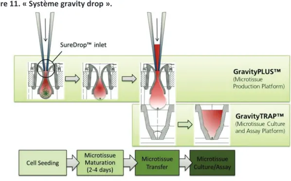 Figure 11. « Système gravity drop ». 
