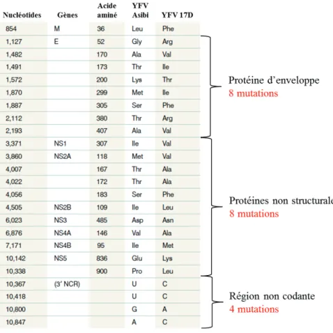 Figure 12. Mutations en acides aminés entre la souche YFV Asibi et la souche YFV 17D. 