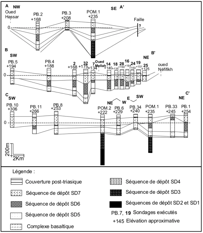 Fig. 7 – Coupes interprétatives des sondages exécutés dans le bassin salifère de Berrechid-ElGara-BenSlimane