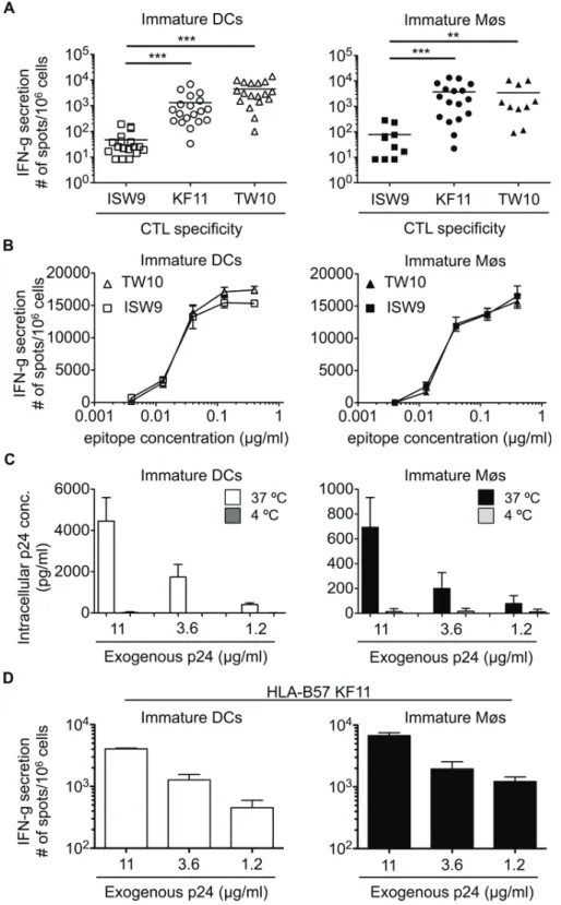 Fig 1. The immunodominant HLA-B57-restricted TW10 and KF11 epitopes are more efficiently cross- cross-presented than subdominant ISW9 epitope