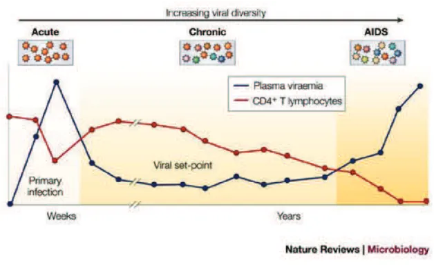Figure 7: Schematic representation of the course of HIV infection defined by the level of viral replication