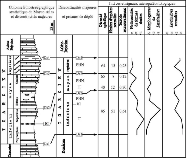 Fig. 2 – Colonne lithostratigrapique synthétique des dépôts toarciens du Moyen Atlas  et relations entre les cortèges sédimentaires et les indices et signaux micropaléontologiques