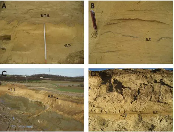 Figure 2. Eltville Tephra layer at Lixhe (Belgium) and Ringen (Lower Rhine Bay).