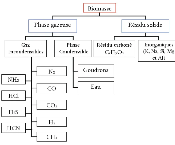 Figure I. 6  :  Schéma de la dégradation de la biomasse en ses sous-produits (Nozahic, 2008)  4.2