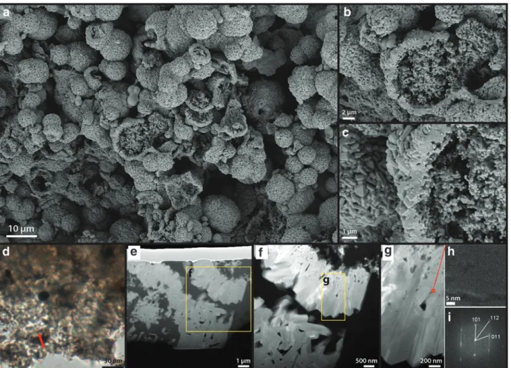 FIG. 12. Single-step high T/P alteration experiment: 300C, 72 h. (a) SEM overview image of the resulting material after experiment