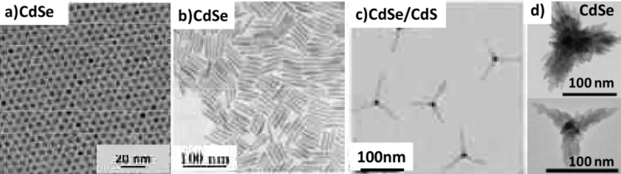 Figure  4-6: Transmission  electron  microscope  images  of  CdSe  nanocrystals  of  different  shapes