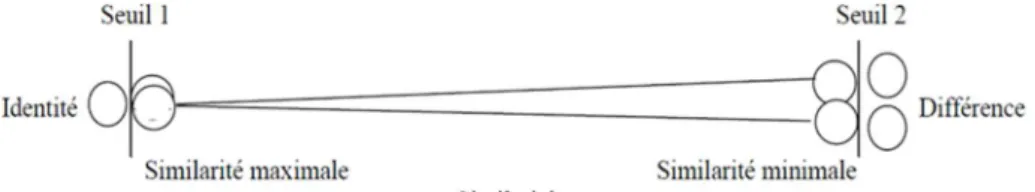 Fig. 2 : le continuum de la similarité 