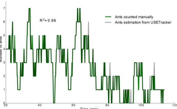 Figure S4. Example of cumulative number of ants of M. rubra of a High →  Down experiment feeding at  the high and the down food source automatically estimated by USETracker during 2h