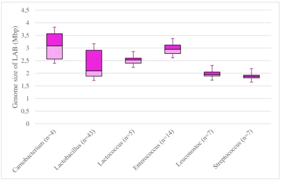 Figure 2: Genome size of some LAB genera. 