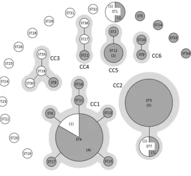 Figure 3: eBURST analysis of 47 C. maltaromaticum strains (Rahman et al., 2014).  