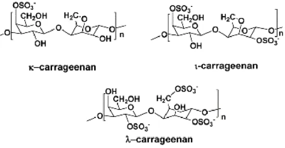 Figure 3: Carrageenan structure. 