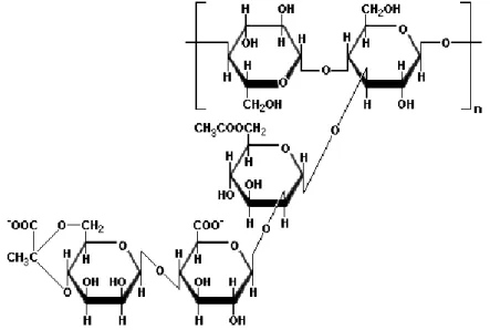 Figure 6: Xanthan gum structure 