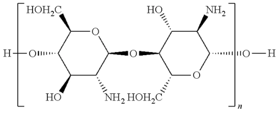 Figure 7: Chitosan structure 
