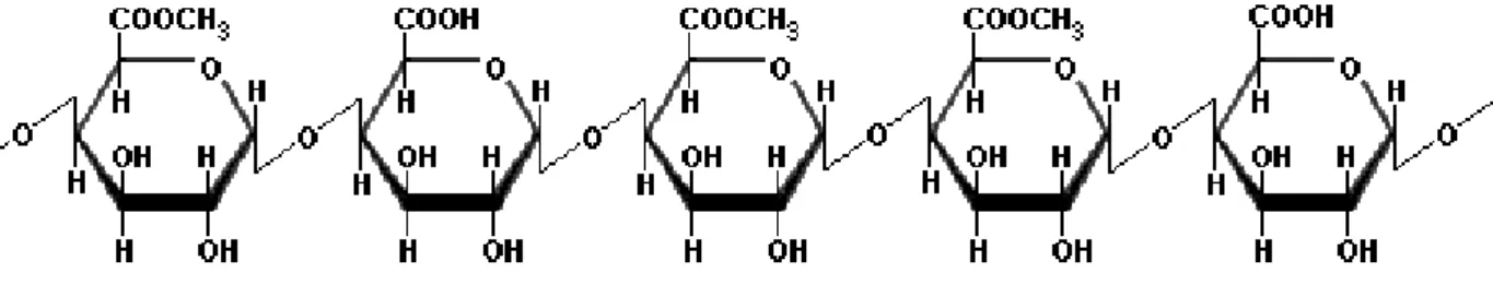 Figure 8: Pectin structure 