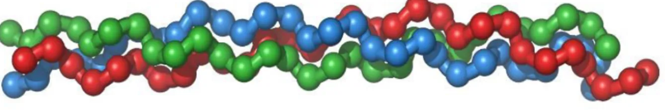 Figure 12: collagen triple helix (from Wikipedia) 
