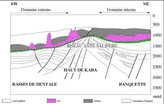 Fig. 8 – Biseau du niveau salifère sur la zone haute syn-rift de Kaba et segmentation en domaines interne et externe