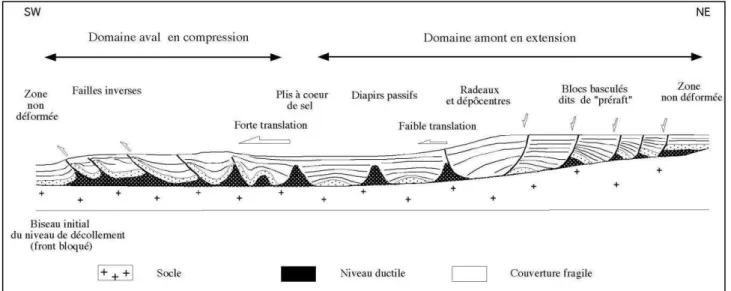 Fig. 5 – Zonation de la déformation gravitaire (Mauduit, 1998, modifié). 