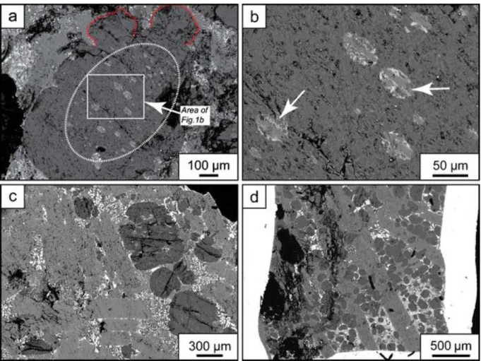 Fig. 1 Backscattered electron images of natrocarbonatites. a Bulbous irregularly shaped gregoryite crystal with an ellipsoidal inclusion-rich  core and inclusion-free rims