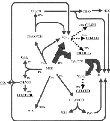 Figure II.18 : Analyse de voies réactionnelles lors de l'oxydation du mélange CH 4 /2% MEK/O 2 /N 2