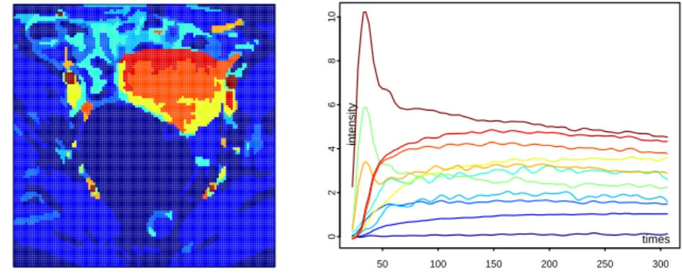 Figure 4.1: Synthetic DCE image sequence: (left) The ground-truth segmentation of X ; (right) The true enhancement curves, i x ( t ), associated to the 11 clusters using corresponding colors.