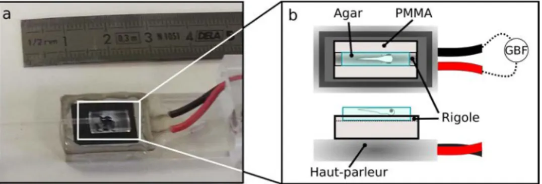 Figure 3.4: Plate-forme portant le haut-parleur :