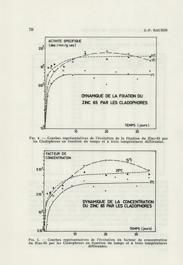 FIG .  4.  —  Courbes  représentatives  de  l'évolution  de  la  fixation  du  Zinc-65  par  les  Cladophores  en  fonction  du  temps  et  à  trois  températures  différentes