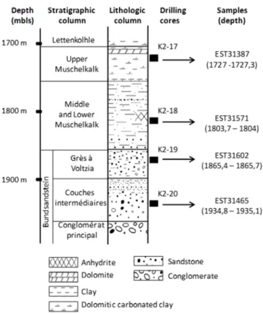 Figure 2. Location of drilling cores and samples from the EST433 deep borehole (Paris Basin, France)  into the lithostratigraphic column