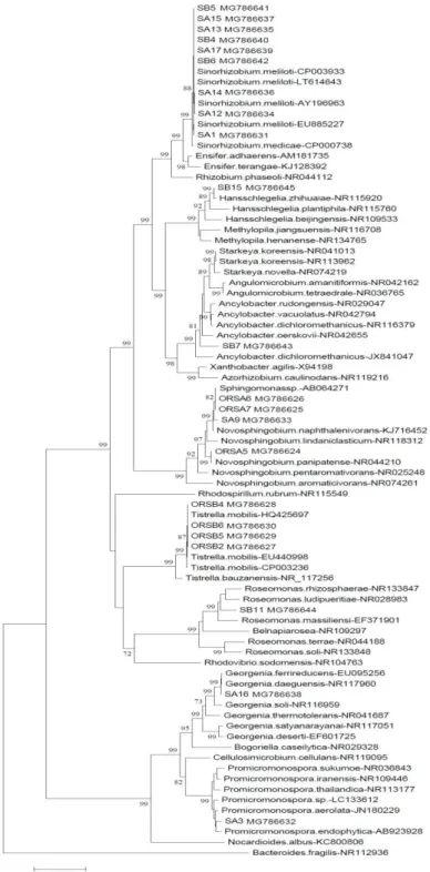 Figure 1 Phylogenetic tree based on 16SrRNA gene  sequence (&gt;900nt) analysis  of  new  and  reference  strains