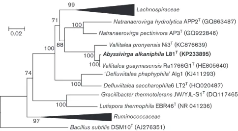 Fig. 1. Phylogenetic tree showing the position of Abyssivirga alkaniphila L81 T with the type strains of the closest described species.