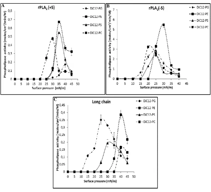 Figure  5:  Variation  with  surface  pressure  of  (A)  rPLA 2 (+5),  (B)  rPLA 2 (-5)  and  (C)    Long  chain  activity  on  various  medium  chain  phospholipids  (diC 12 -PC  ,  diC 12 -PE  ,  PG  and  PS)