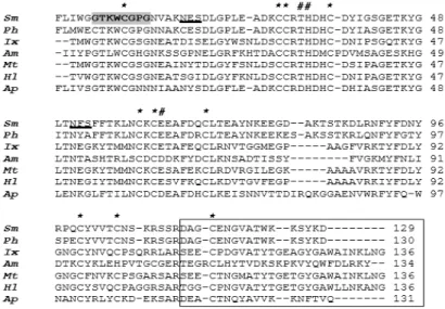 Figure 9: Sm-PLGV amino acid sequence alignment with other PLA 2  from scorpion and bee  venoms