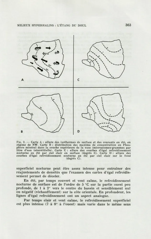 FIG.   2.  —  Carte   A   :  allure  des  isothermes  de  surface  et  des  courants  en  été,  en  régime  de  NW