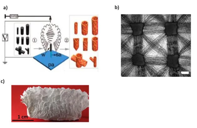 Figure  7:  3D  structured  membranes:  a)  Schematic  illustration  of  the  fabrication  of  fibrous  tubes  using  3D  columnar  collectors,  b)  SEM  images  of  patterned  architectures  (scale  bar= 