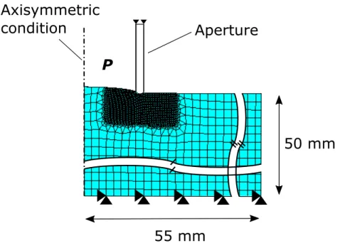 Figure 3.4: Schematic of the FE model and boundary conditions of the aspiration ex- ex-periment in the deformed configuration.