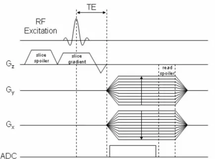 Figure 2.1: Pulse sequence for a radial UTE trajectory with FID acquisition. Adapted from [129].