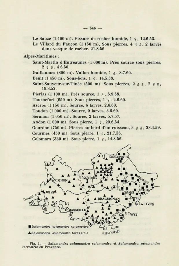 Fig.  1.  —  Salamandra  salamandra  salamandra  et  Salamandra  salamandra  terrestris  en  Provence