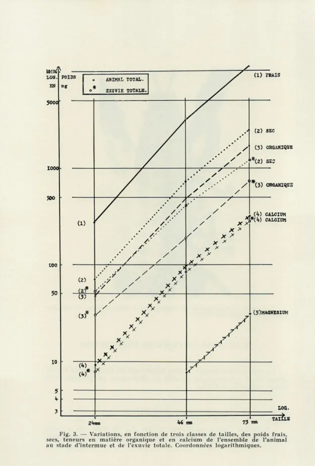 Fig.  3.  —  Variations,  en  fonction  de  trois  classes  de  tailles,  des  poids  frais,  secs,  teneurs  en  matière  organique  et  en  calcium  de  l'ensemble  de  l'animal  au  stade  d'intermue  et  de  l'exuvie  totale