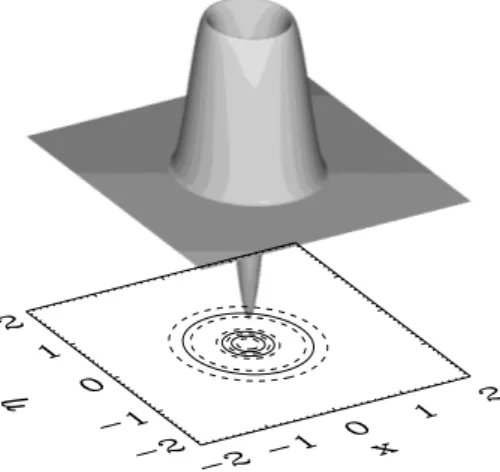 Fig. 3. The same as Fig. 2 but for the bipolar vortex structure with a = 1, α = 5 ◦ , here the current and field lines are symmetric with respect to the line x = 0 as far as the amplitude of the monopolar part of the vortex is chosen to be A 0 = 0.