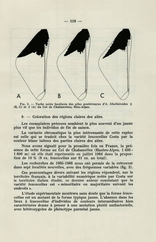 FIG.   2.  —  Tache  noire  basilaire  des  ailes  postérieures  d'A.  libelluloides J 