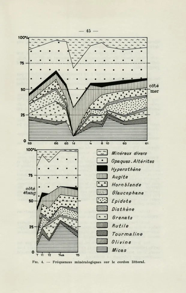 FIG.   4.  —  Fréquences  minéralogiques  sur  le  cordon  littoral. 