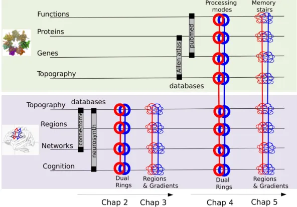 Fig. 1.5.: Plan of the dissertation: this scheme shows the progression of the work in the different chapters